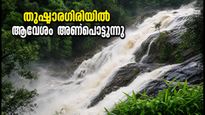 വയനാട് യാത്ര മാറ്റിവെച്ച് സഞ്ചാരികൾ തുഷാരഗിരിയിലേക്ക്; മലബാർ റിവർ ഫെസ്റ്റിവൽ 2026 ആവേശം തുടങ്ങുന്നു!