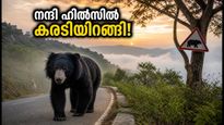 നന്ദി ഹിൽസിൽ കരടിയുടെ സാന്നിധ്യം; സഞ്ചാരികൾക്ക് കർശന ജാഗ്രതാ നിർദ്ദേശം, യാത്രയ്ക്ക് മുൻപ് ഇതറിയൂ