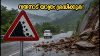വയനാട് യാത്ര പ്ലാൻ ചെയ്യുകയാണോ? മേപ്പാടിയിൽ കർശന നിയന്ത്രണം, യാത്രക്കാർ ഈ കാര്യങ്ങൾ അറിഞ്ഞിരിക്കണം
