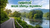 വയനാട് ടൂറിസം നിയന്ത്രണങ്ങൾ നീക്കി; ഇനി ധൈര്യമായി യാത്ര ചെയ്യാം, ശ്രദ്ധിക്കേണ്ട കാര്യങ്ങൾ ഇതാ