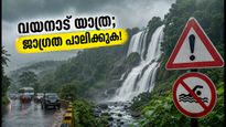 വയനാട്ടിൽ കനത്ത മഴ; വിനോദസഞ്ചാര കേന്ദ്രങ്ങളിൽ കർശന നിയന്ത്രണം, യാത്രക്കാർക്ക് ജാഗ്രതാ നിർദ്ദേശം