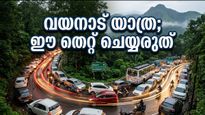 വയനാട് യാത്ര പ്ലാൻ ചെയ്യുന്നവർ ശ്രദ്ധിക്കുക; ഈ കാര്യങ്ങൾ അറിഞ്ഞില്ലെങ്കിൽ പണി പാളും!