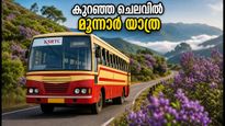 മൂന്നാറിൽ നീലക്കുറിഞ്ഞി വസന്തം; കുറഞ്ഞ ചെലവിൽ കെഎസ്ആർടിസി ബജറ്റ് ടൂർ പാക്കേജുകൾ ഇതാ!
