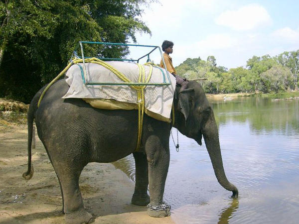 കൂര്‍ഗില്‍ ചിലവിടാന്‍ അഞ്ച് കാര്യങ്ങള്‍