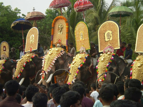 പാരിപ്പള്ളി ഗജമേള, 2014 മാർച്ച് 2