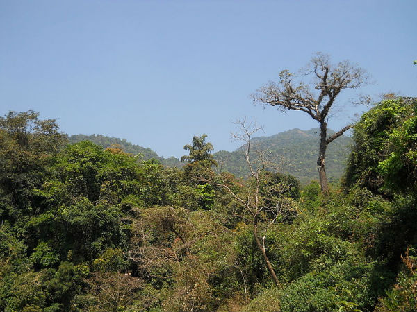 തുഷാരഗിരി ട്രെക്കിംഗ്