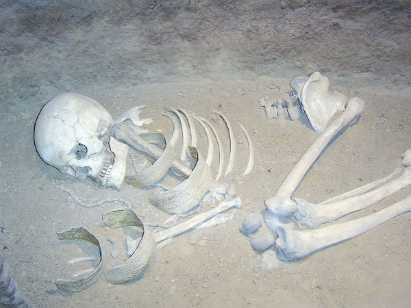 അസ്ഥികൂടങ്ങൾ നിങ്ങളെഭയപ്പെടുത്തുമോ?