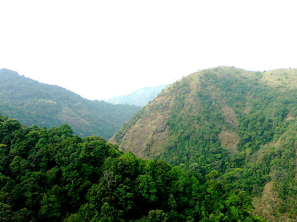 സയലന്റ് വാലി നാഷണൽ പാർക്ക്