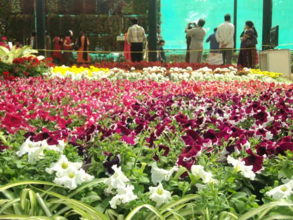 ലാൽബാഗ് ഫ്ലവർ ഷോ 2014