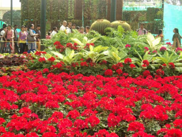 ലാൽബാഗ് ഫ്ലവർ ഷോ 2014