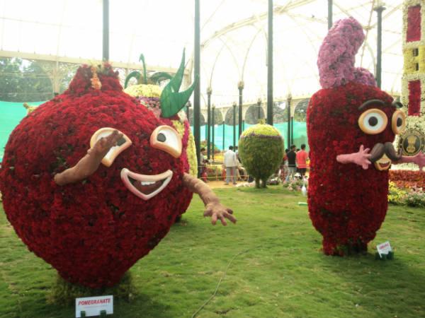 ലാൽബാഗ് ഫ്ലവർ ഷോ 2014