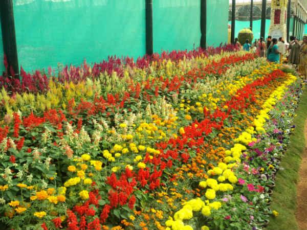 ലാൽബാഗ് ഫ്ലവർ ഷോ 2014