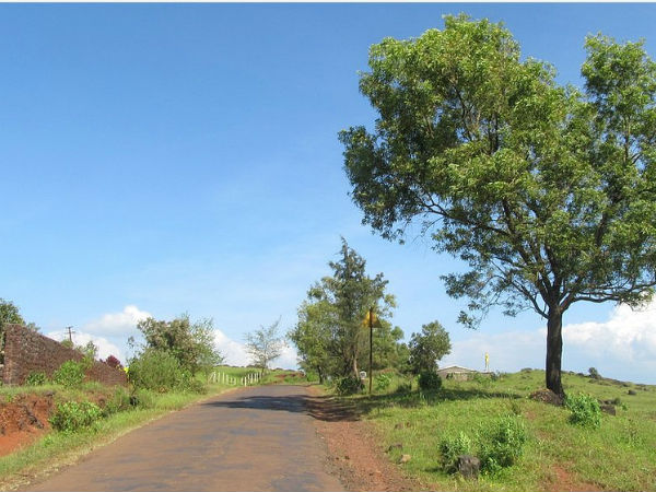 സഹ്യദ്രിയുടെ പൂന്തോട്ടം