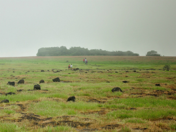 കാസ് തലാവ്