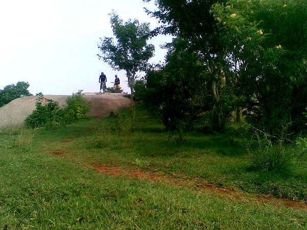 തുറഹള്ളി വനം