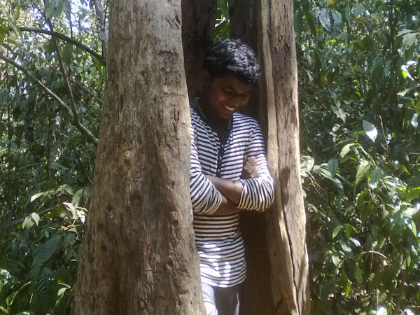 ഇതാ ഒരു മരം