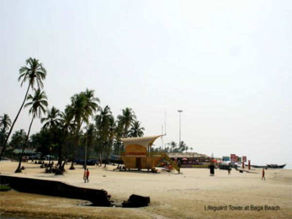 ബാഗ - വീണ്ടും വീണ്ടും വ്യത്യസ്ത രുചികൾ