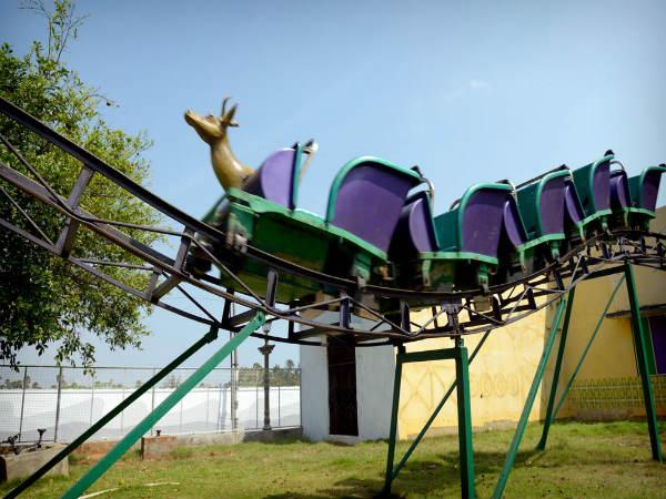 റെയിൻഡീർ കോസ്റ്റർ