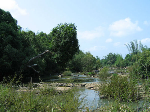 കുറുവദ്വീപ്