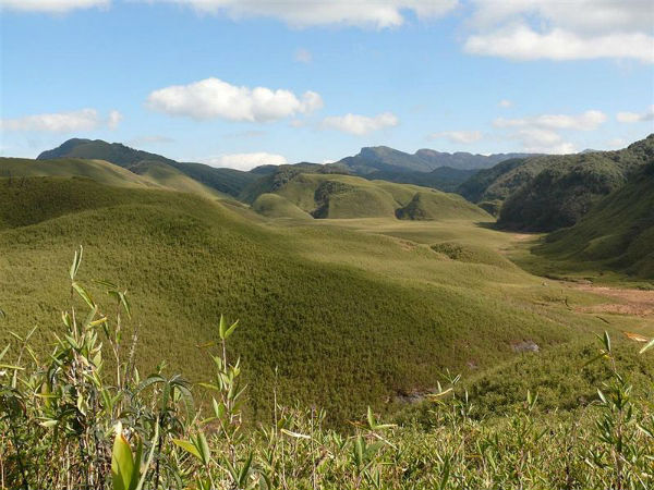 ഡിസുകൗ വാലി