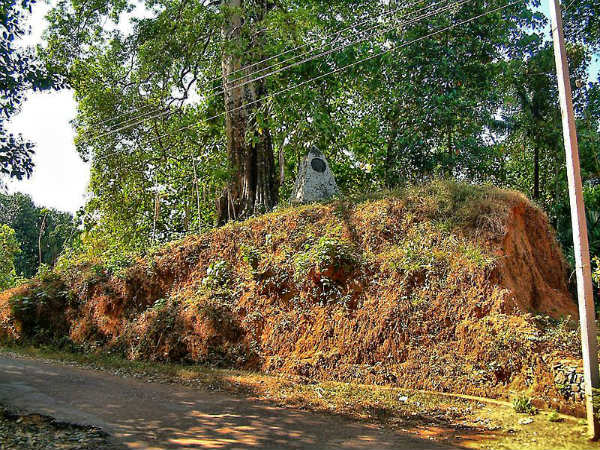 നെടുങ്കോട്ട