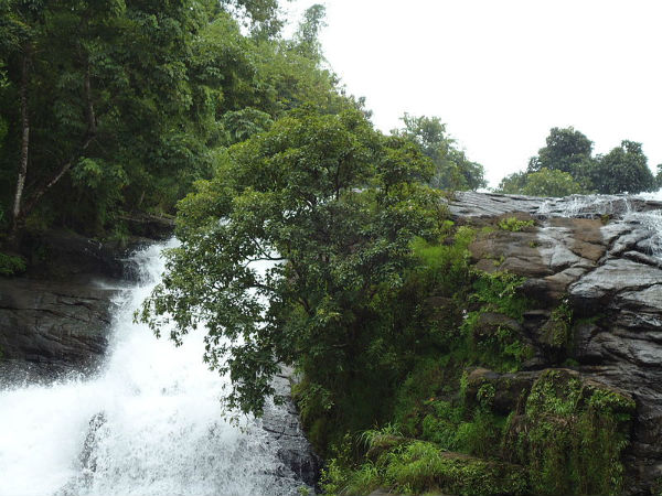 ചാർപ്പ വെള്ളച്ചാട്ടം