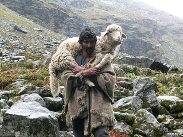 നിലവിളിയും കാഹളനാദവും