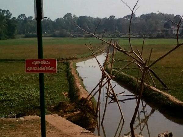 ചൂണ്ടയിടാം