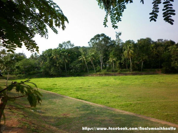 നേരംപോക്ക് വായനശാല