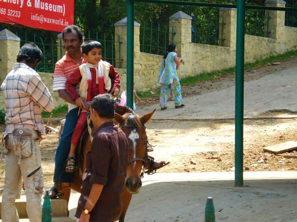 കുതിര സവാരി