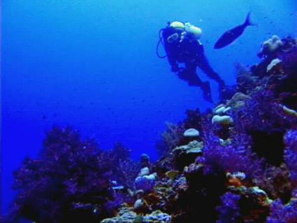 സുഹേലി പാര്‍