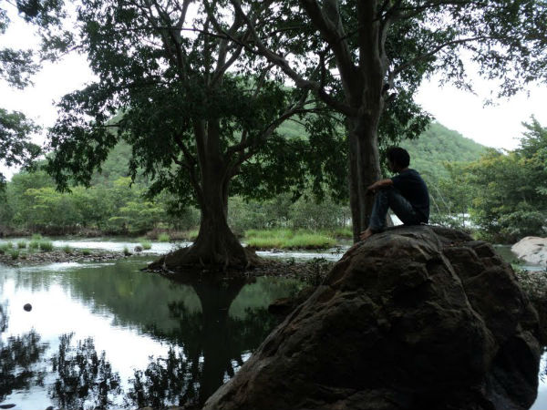 മുത്തത്തി