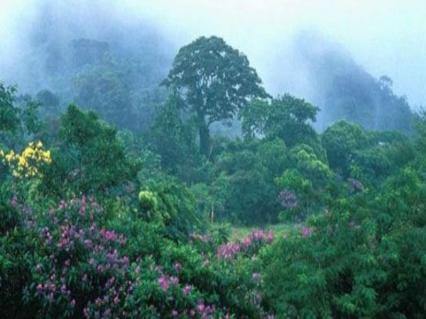 സിദ്ധാപ്പൂര