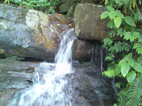 തടിയന്റമോള്‍