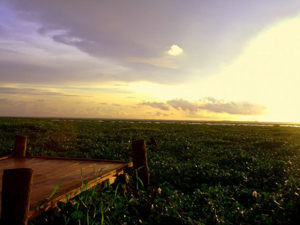 കുമരകം കാഴ്ചകൾ