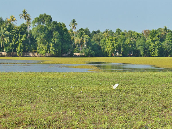 കുമരകം കാഴ്ചകൾ