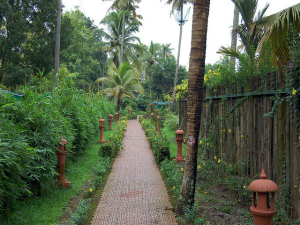 കുമരകം കാഴ്ചകൾ