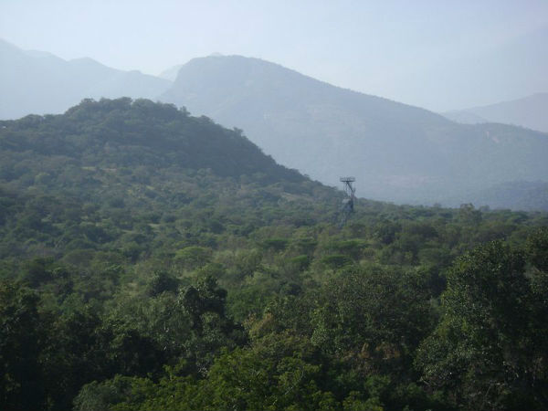 വാച്ച് ടവർ