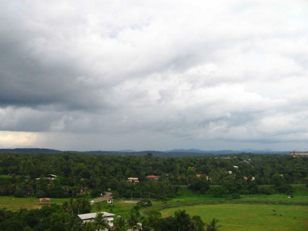 പച്ചപ്പ്