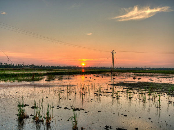 ആലപ്പുഴ