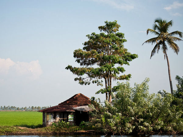 ആലപ്പുഴ