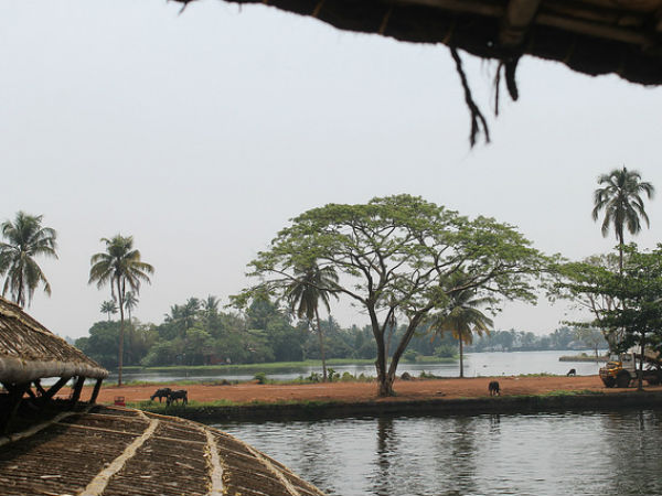 ആലപ്പുഴ