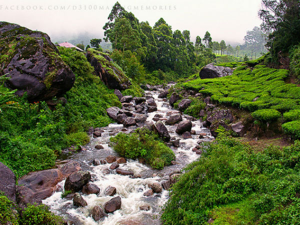 മൂന്നാർ