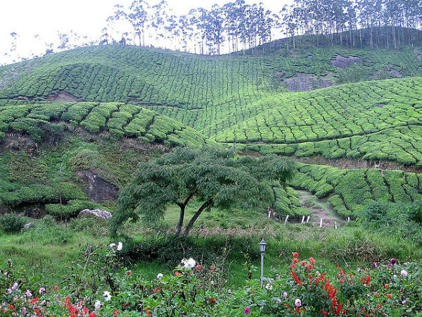 മൂന്നാർ