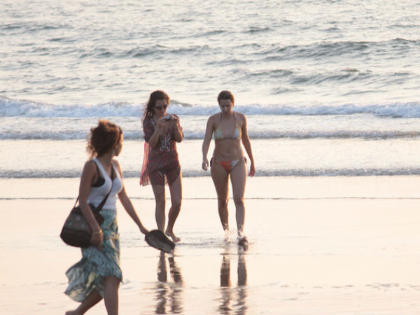 ബീച്ചുകൾ