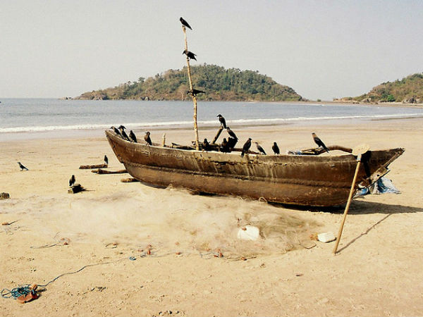 വിരുന്നെത്തിയ കാക്കകൾ