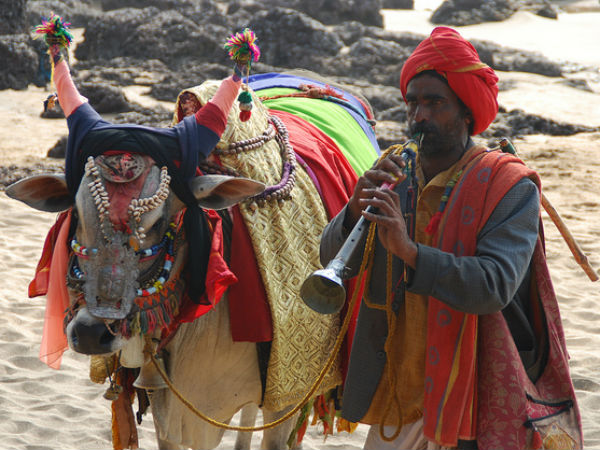 ചില വ്യത്യസ്ത കാഴ്ചകൾ