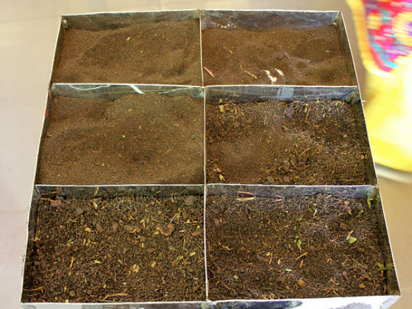 തേയിലപ്പൊടി