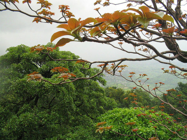 കാലവസ്ഥ