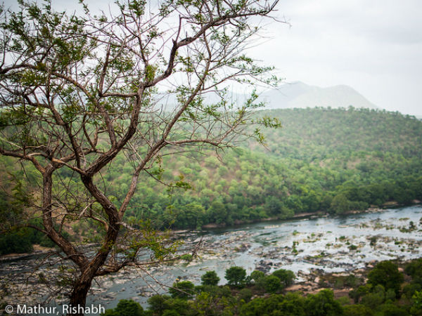 ഭീമേശ്വരിയിലെ കാഴ്ചകൾ